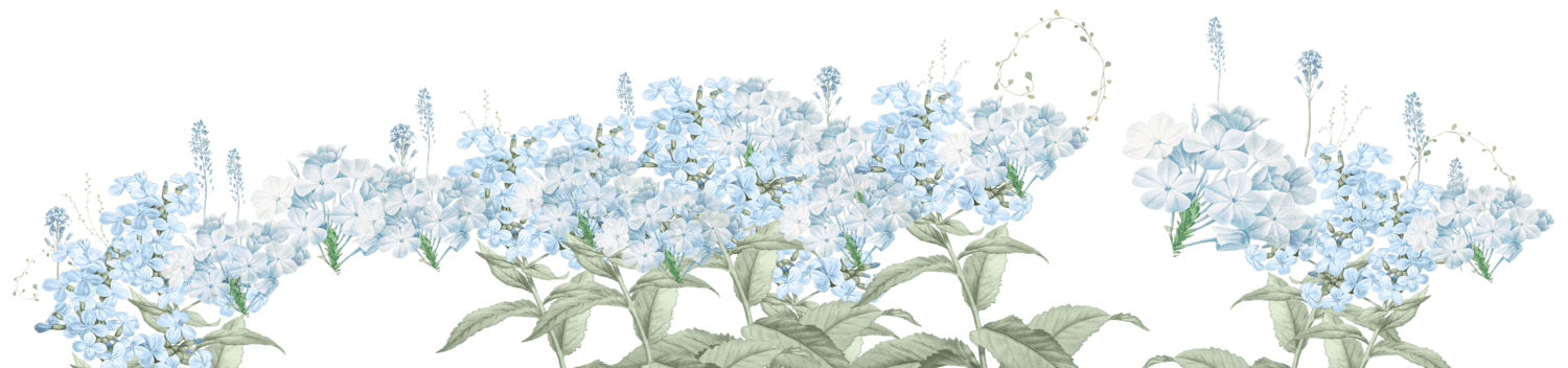 bunga belakang gazebo.png